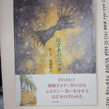 하잣키의 닉 사이토 에마사