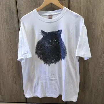 카네코 아야노 라이브 TEE