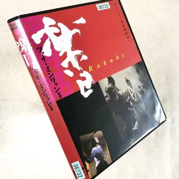 낙일 DVD 렌탈