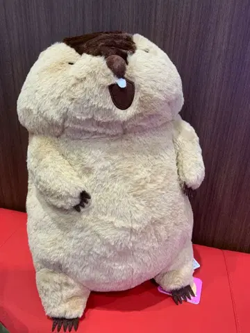 마모트의 모토토모아! 울트라 BIG 야마모토 봉제 인형