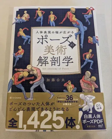 포즈의 미술 해부학 카토 코타