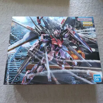 스트라이크 루즈 MG 1/100 미개봉 새상품