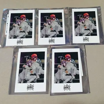 KnightX 페어 포토 카드 바우 타케야키 쇼