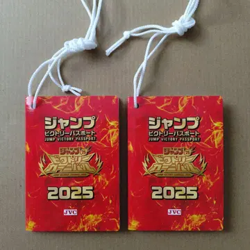 점프 빅토리 카니발 2025 여권 점프 페스타