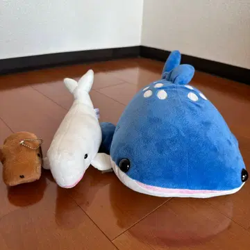 고래상어 벨루가 카피바라 봉제 인형 3점 바다의 친구들 수족관 귀여운