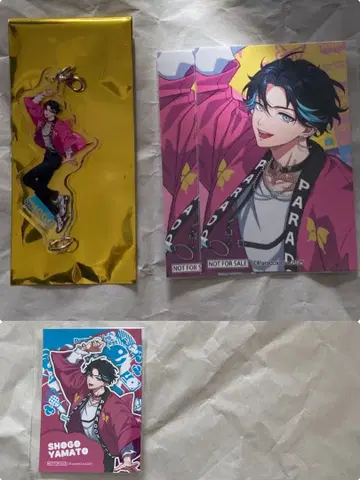 파라라이 도프보 야마토 쇼고