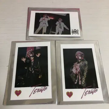 KnightX 테루토쿤 포토 카드 3장 세트