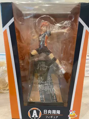 히나타 쇼요 액션 피규어 HAPPY 복권