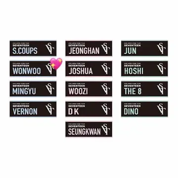 SEVENTEEN 세븐틴 원우 타월 2020 SVT 돔 투어