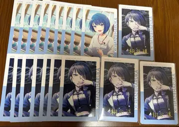 프로세카 에피카 오동나무  22B