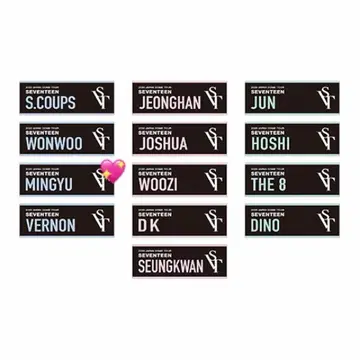 SEVENTEEN 세부치 민규 타월 2020 SVT 돔 투어