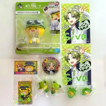 컬러풀 피치 카라피치 시바 묶음 판매