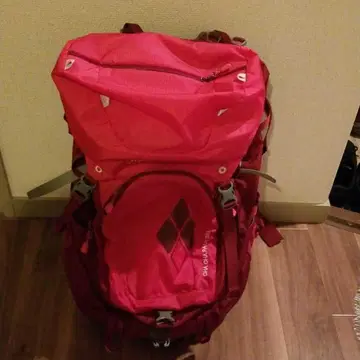 빨간색 백팩 조정 가능 스트랩