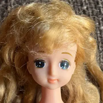 오오이케 인형 엘리나 제니 첼시