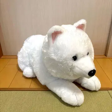 사모예드 엎드림 울트라 BIG 봉제 인형 방긋 다이토 한정판