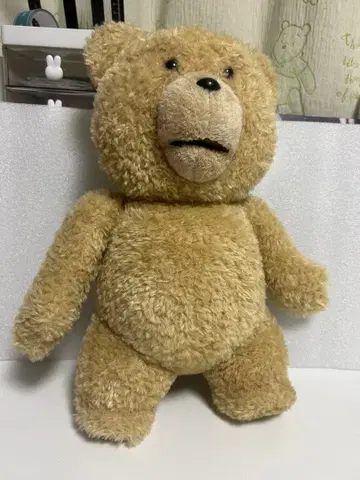 테드 ted 레어 레어템 봉제 인형