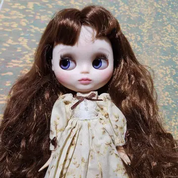 의류 포함! 커스텀 아이시 인형