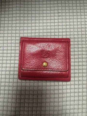 일비종떼 트리폴드 지갑