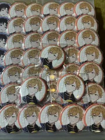 아오페라 시호 루카 캔뱃지 38개