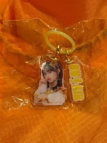 스가타 아키 콜라보 후랏토 반지 참