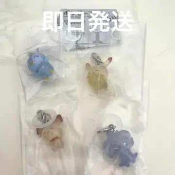 포켓몬 메지루시 액세서리 포켓몬피스 메지루시 가챠 마스코트 4종 세트