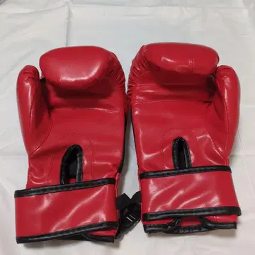 완구 복싱 그로브