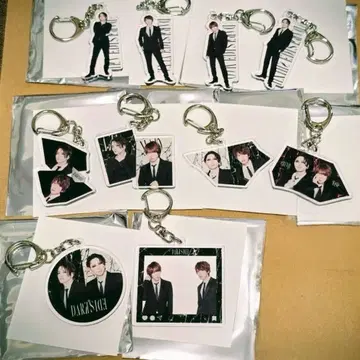 SID 아크릴 키링 전 10종 세트