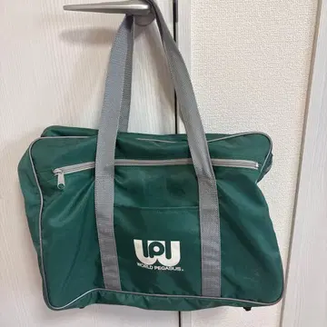 WORLD PEGASUS 그린 컬러 토트백