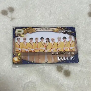 BUDDiiS 리얼 카드 슈스에비