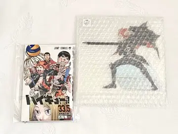 하이큐 쓰레기장의 결전 히나타 쇼요 MEGA 피규어 특전 책자