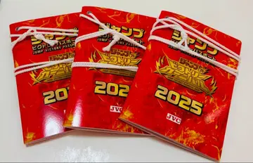 점프 빅토리 여권 빅토리 카니발 2025 점프 페스타 26