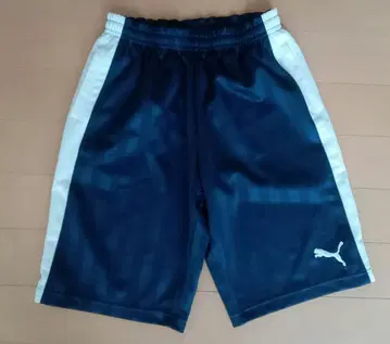 푸마 하프 팬츠