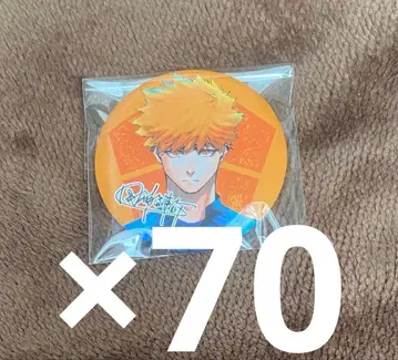 특장판 캔뱃지 국신연개 70점