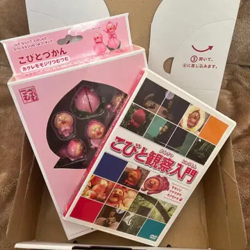 코비토즈칸 카쿠레모모지리 피규어 DVD