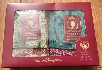 도쿄디즈니씨 겨울왕국 미니 타월 세트 2개입