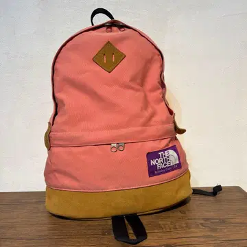 THE NORTH FACE 핑크 백팩