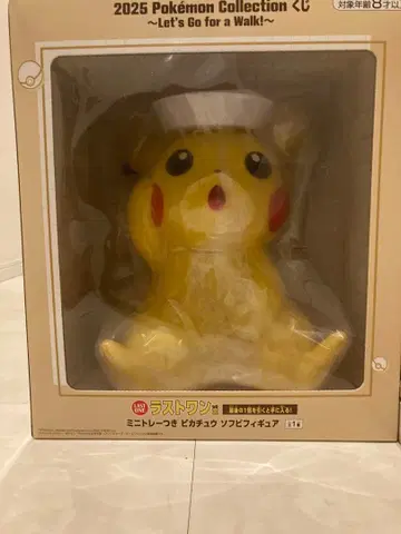2025 포켓몬 컬렉션 피카츄 피규어
