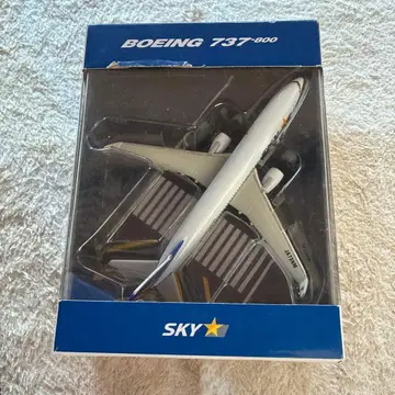 Boeing 737-800 SKYMARK