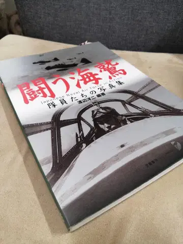 싸우는 바다 독수리 일본 해군 항공대