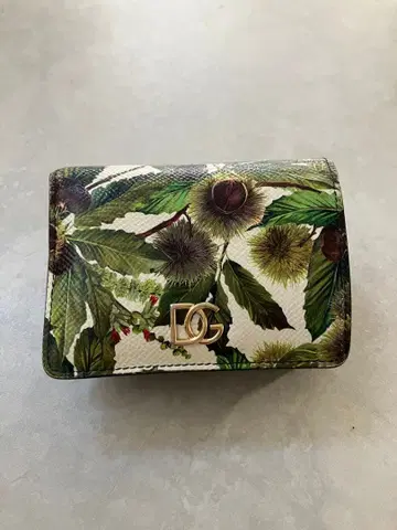 돌체앤가바나 DG 밤과 잎사귀 접이식 지갑