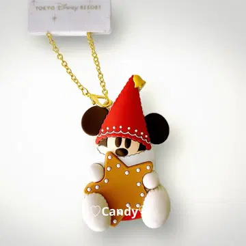 [ 당일 발송 ] TDR 디즈니 크리스마스 릴린린 백참 미사용