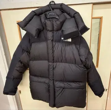 THE NORTH FACE 힘 다운 후드티