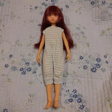 CCSgirl24AWruruko 본체만