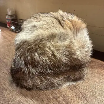 퍼 모자 브라운 계열 라운드형 직경 약 25cm