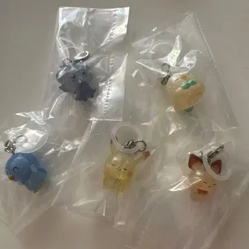 포켓피스 포켓몬 메지루시 액세서리 컴프 세트