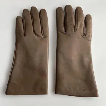 셀모네타 그로브스