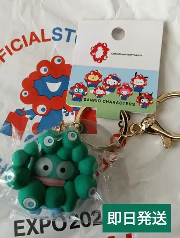 박람회 산리오 미야쿠미야쿠 한교동 파스텔