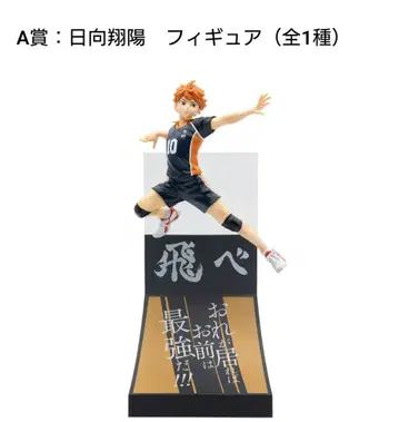 Happy 복권 하이큐!! 히나타 쇼요 피규어