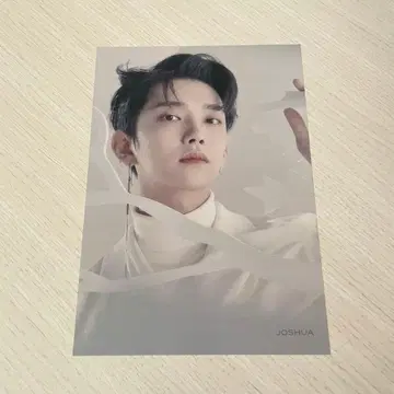 SEVENTEEN 조슈아  플라이어