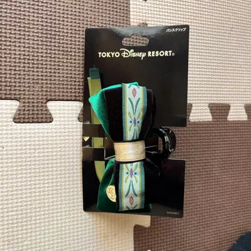 디즈니씨 안나와 눈의 여왕 안나 머리핀